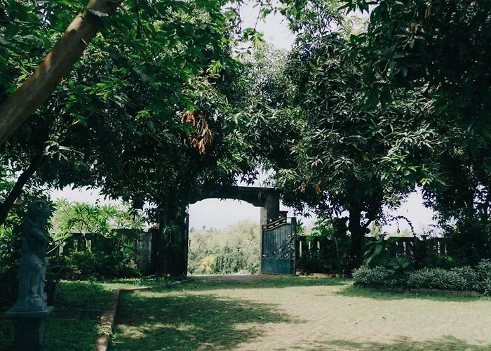 Villa Rumah Kayu Lovina Beach